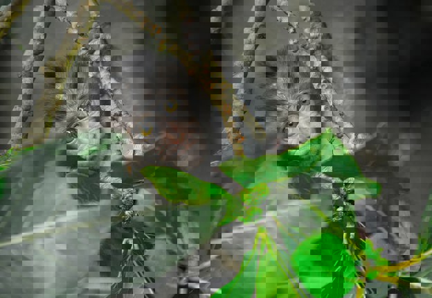 Discover creative web ideas with SimonAntony Ltd.