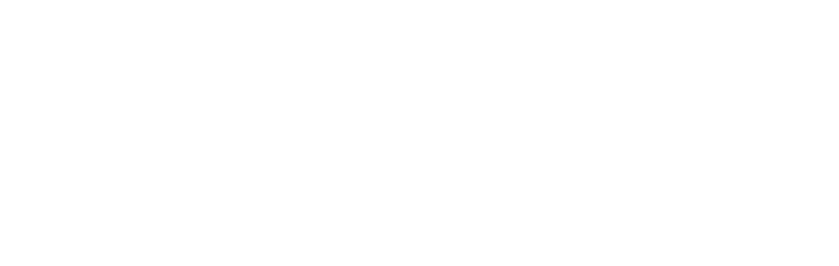 Umbraco Silver Partner