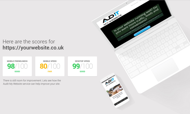 Audit Website Pagespeed