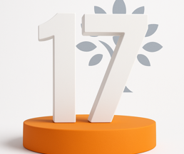 Umbraco 13 to 17: the backoffice rewrite is the real decision, not the content