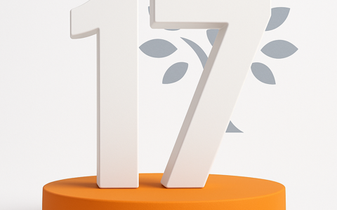 Umbraco 13 to 17: the backoffice rewrite is the real decision, not the content