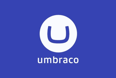 Why Umbraco CMS Is the Perfect Fit for your Small Business & Agency